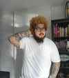 Daniel, XL