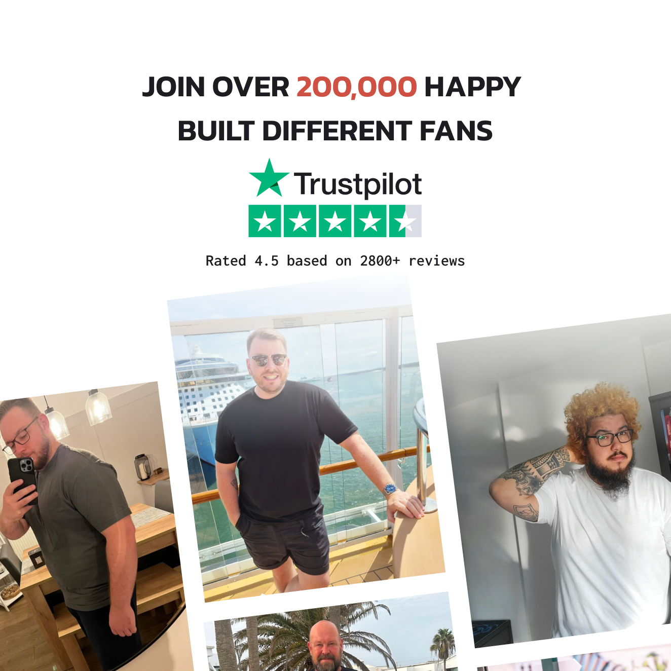 Load image into Gallery viewer, Forest Core 3-Pack
