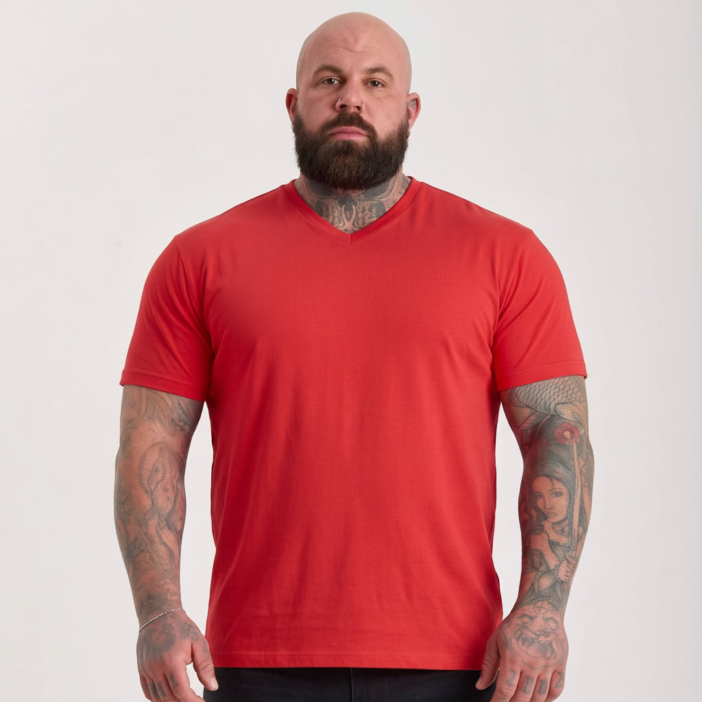 Load image into Gallery viewer, Baked Apple V-Neck T-Shirt
